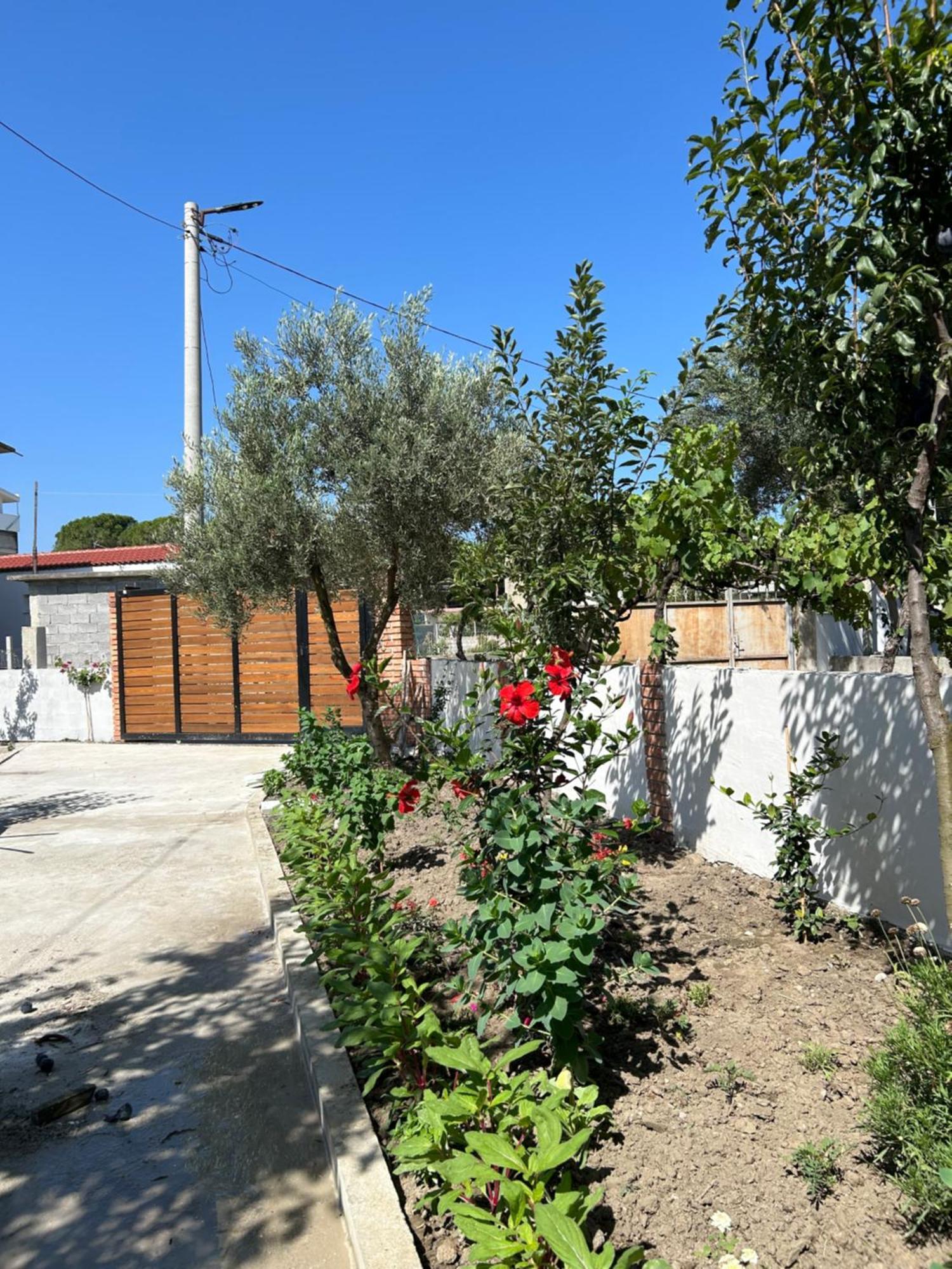 Vila Roan Влёра Экстерьер фото